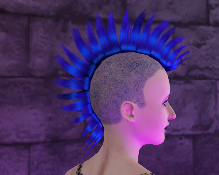 File:Aikea Guinea F FreeHair Jan6-10.jpg