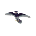 BirdSpottedSixam.png