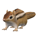 RodentChipmunk.png