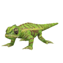 LizardChameleon.png