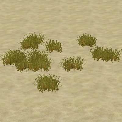 File:ContentListsCAWplant swamp rushes.jpg