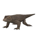 LizardPygmyKomodoDragon.png