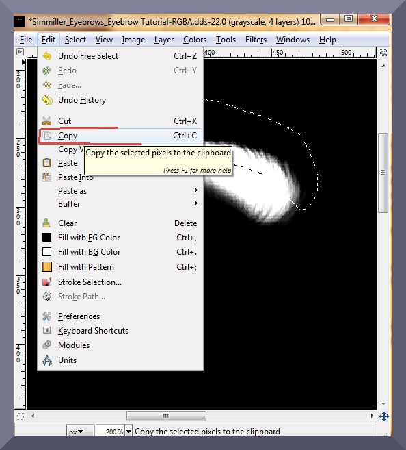 GIMP copying the selection.jpg