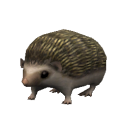 RodentHedgehog.png