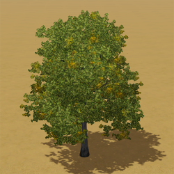 CAW trees maple UL.png