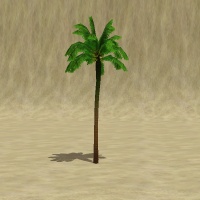 ContentListsCAWtree palm date.jpg