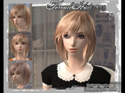 Dsb femalehair003.jpg