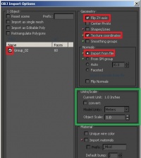 Import Settings 3Ds Max.jpg