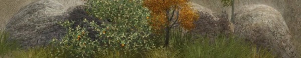 PrettyBushes.jpg