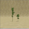 Thumbnail for version as of 09:32, 31 October 2011