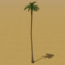 CAW trees palm la ST.png