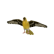 BirdGoldfinch.png