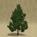 Thumbnail for version as of 09:39, 31 October 2011