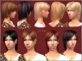 Thumbnail for version as of 13:24, 28 July 2007