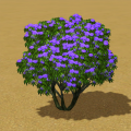 Thumbnail for version as of 20:18, 21 May 2024