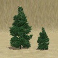 Thumbnail for version as of 09:40, 31 October 2011