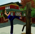 Thumbnail for version as of 01:06, 28 November 2009