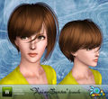 Thumbnail for version as of 01:24, 3 September 2010