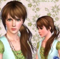 Thumbnail for version as of 21:52, 17 January 2010