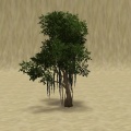 Thumbnail for version as of 09:32, 31 October 2011