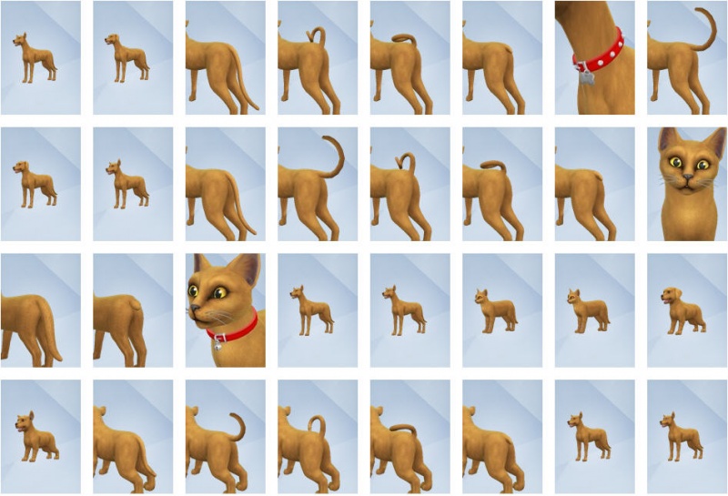 File:Pets-CAS-Items-1.jpg