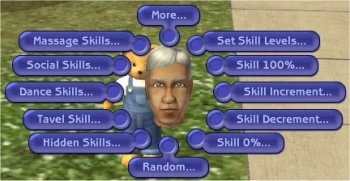 Insim-skills.jpg