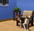 Thumbnail for version as of 20:05, 15 October 2012